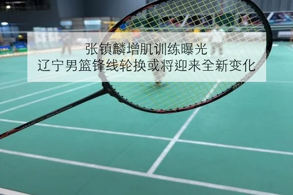张镇麟增肌训练曝光 辽宁男篮锋线轮换或将迎来全新变化